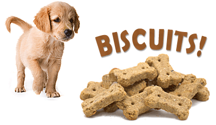 Biscuits!
