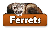 Ferret Products