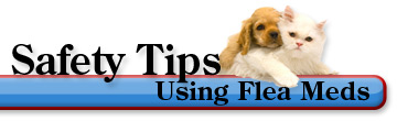 Safety Tips