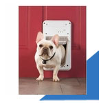 Electronic SmartDoor