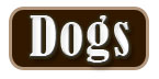 Dogs