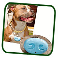 Doggles Ionizer