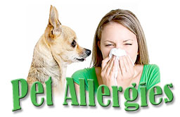 Pet Allergies