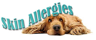 Skin Allergies