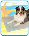 Cool Bed III for Pets