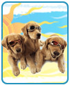Doggles