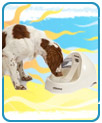 Petmate Deluxe Fresh Flow Pet Fountain - Medium