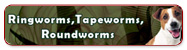 Ringworms, Tapeworms, Roundworms