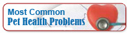 Top 10 Health Problems in Dogs & Cats