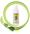 Earthbath Hypo-Allergenic Grooming Foam for Cats
