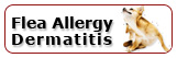 Flea Allergy Dermatitis