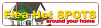 Flea Hot Spots Around Your Home