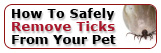 How To Safely Remove Ticks From Your Pet