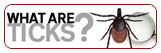 Ticks