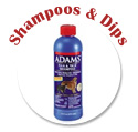 Shampoos & Dips