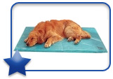 Canine Cooler Bed 