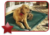 Coolaroo Pet Beds 