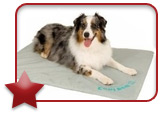 Cool Bed III for Pets 