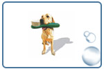 Pet Grooming Supplies