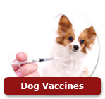 Dog Vaccines