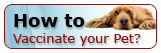 How To Vaccinate Your Pet